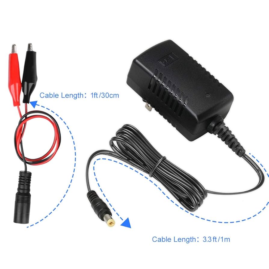 Amazon.com: TalentCell AC/DC 12V LiFePO4 Battery Charger